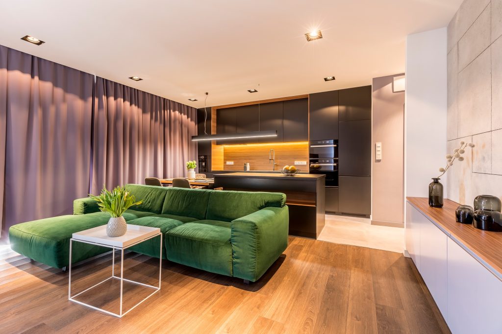 Open space apartment with sofa